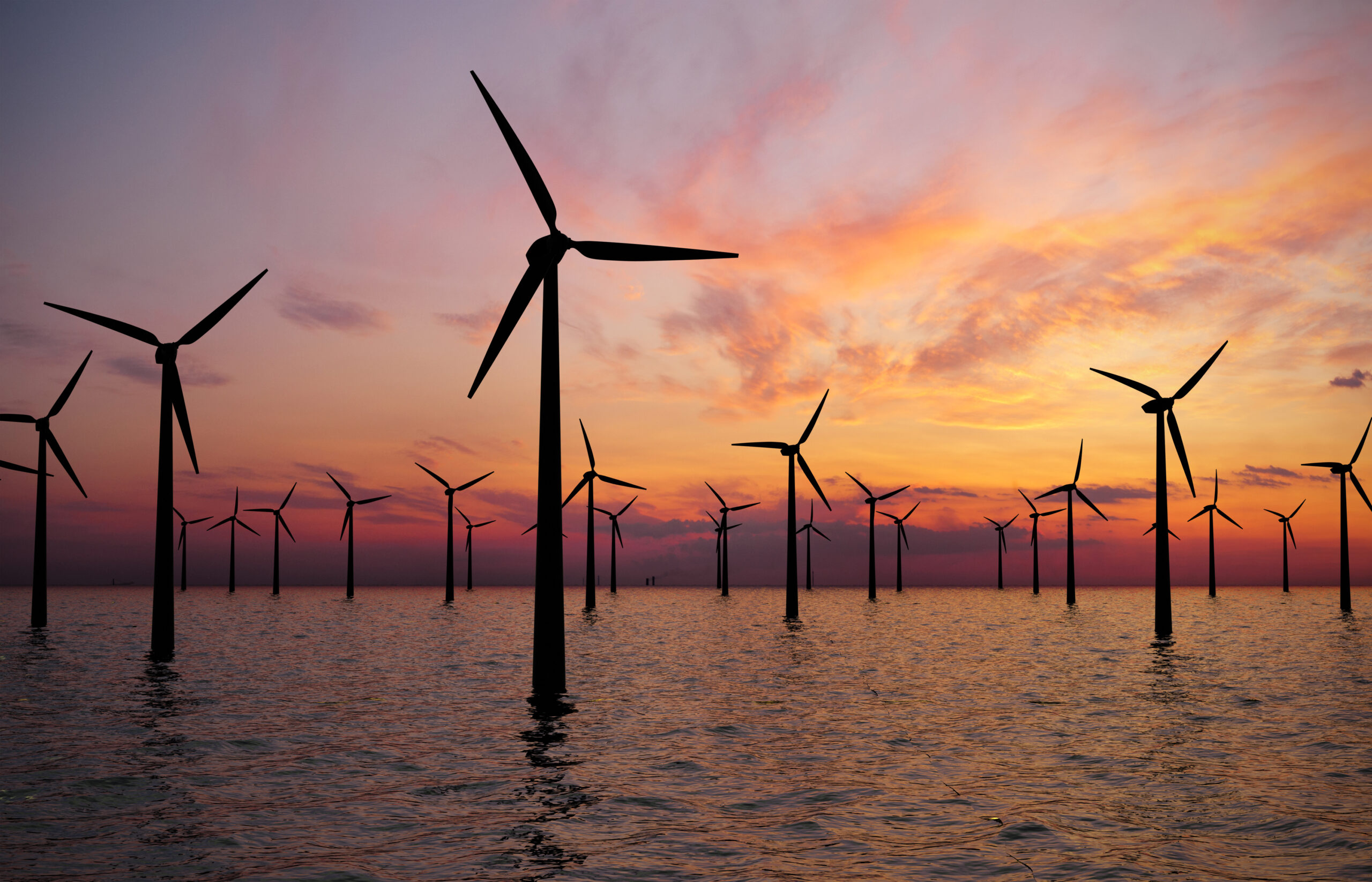 TÜREB ve DEHUKAM, deniz üstü rüzgar enerjisi mevzuatı için protokol imzaladı
